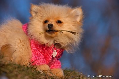 Dec5_07_387.JPG