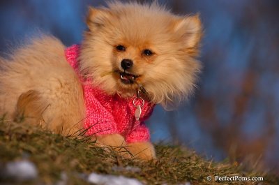 Dec5_07_388.JPG