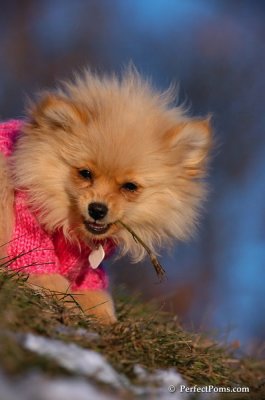 Dec5_07_389.JPG