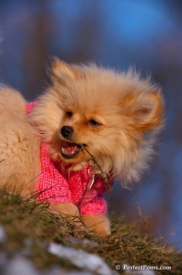 Dec5_07_390.JPG
