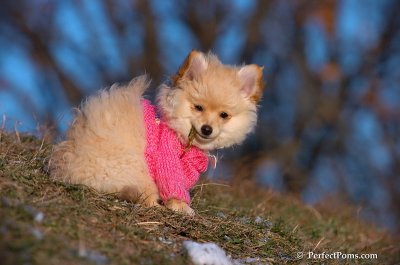 Dec5_07_392.JPG