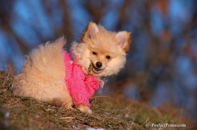 Dec5_07_393.JPG