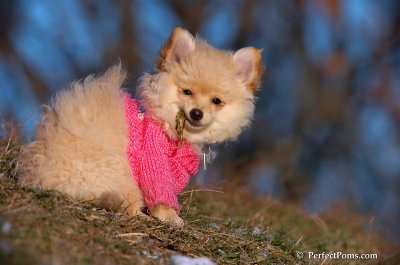 Dec5_07_394.JPG