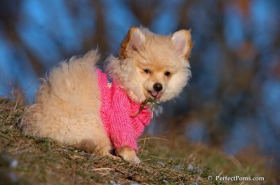 Dec5_07_395.JPG