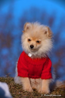 Dec5_07_396.JPG