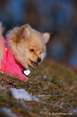 Dec5_07_397.JPG