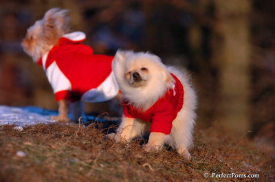 Dec5_07_403.JPG
