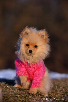 Dec5_07_405.JPG