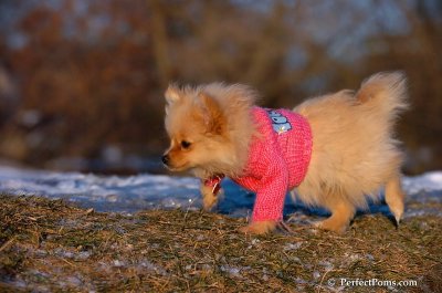 Dec5_07_406.JPG