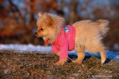 Dec5_07_407.JPG