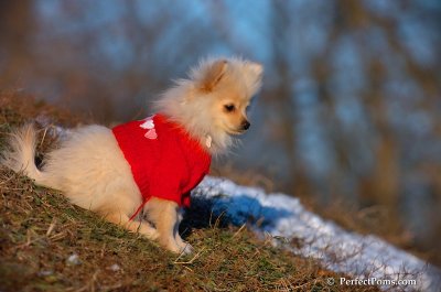 Dec5_07_410.JPG