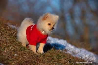 Dec5_07_412.JPG