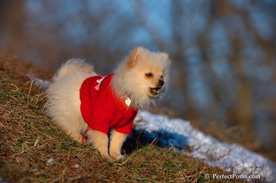Dec5_07_413.JPG
