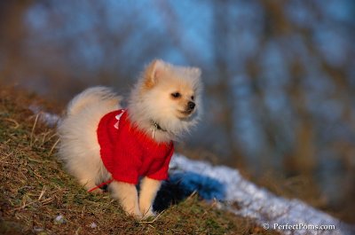 Dec5_07_414.JPG