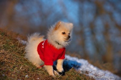 Dec5_07_415.JPG