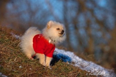 Dec5_07_416.JPG