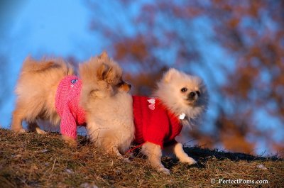 Dec5_07_417.JPG