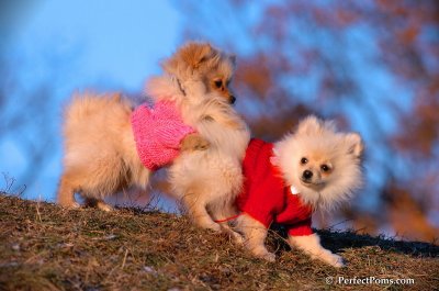 Dec5_07_418.JPG