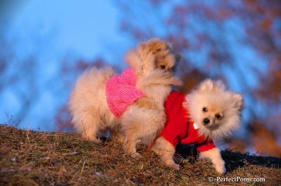 Dec5_07_419.JPG