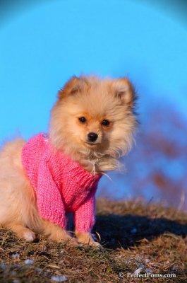 Dec5_07_422.JPG