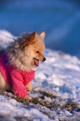 Dec5_07_423.JPG