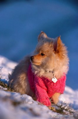 Dec5_07_424.JPG