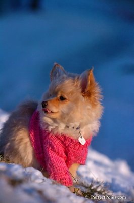 Dec5_07_425.JPG