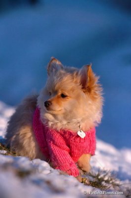 Dec5_07_426.JPG