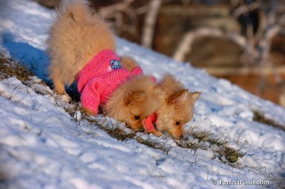 Dec5_07_427.JPG