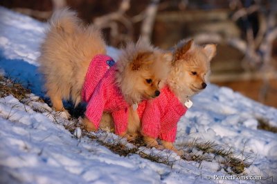 Dec5_07_428.JPG