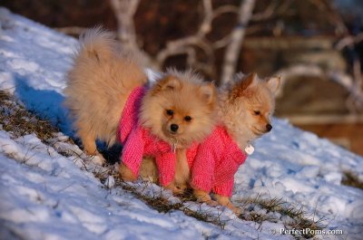 Dec5_07_429.JPG