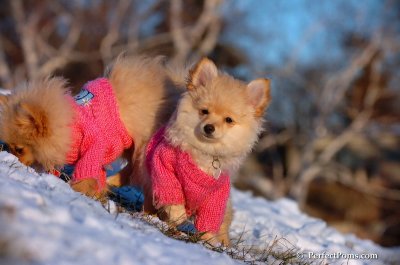 Dec5_07_430.JPG
