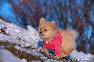 Dec5_07_431.JPG