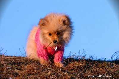 Dec5_07_440.JPG