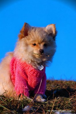 Dec5_07_445.JPG