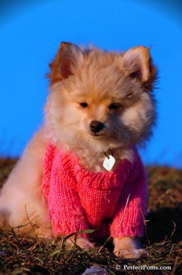 Dec5_07_469.JPG