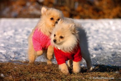 Dec5_07_163.jpg