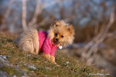 Dec5_07_166.JPG