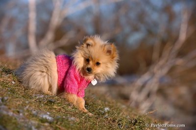 Dec5_07_167.JPG