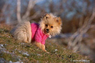 Dec5_07_169.JPG