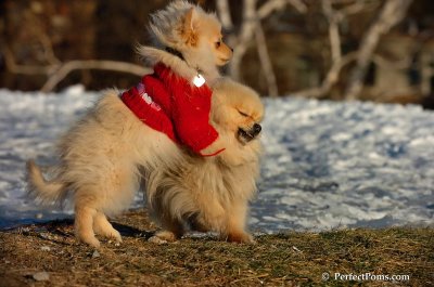 Dec5_07_178.JPG
