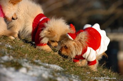 Dec5_07_179.JPG