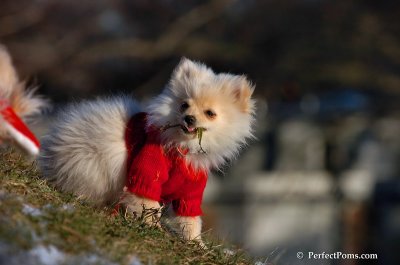 Dec5_07_184.JPG