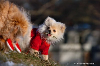 Dec5_07_189.JPG