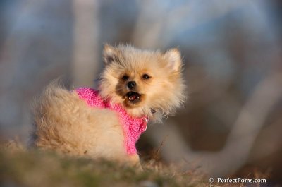 Dec5_07_197.JPG