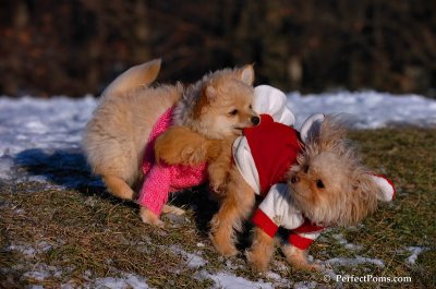 Dec5_07_199.JPG