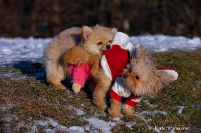Dec5_07_200.JPG