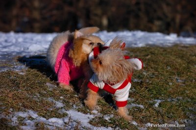 Dec5_07_202.JPG