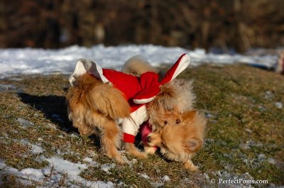 Dec5_07_204.JPG