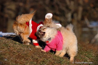 Dec5_07_208.jpg